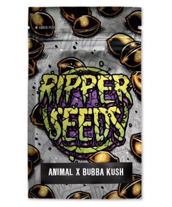 Animal Cookies x Bubba Kush 3 u. fem. Ed. Lim. Ripper Seeds