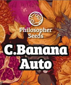 Auto Chiquita Banana 3 u fem  Philosopher
