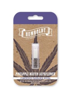 Auto Pineapple Muffin 5 u. fem Humbold Seeds Company