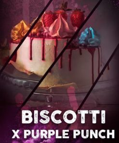 Biscotti fem. Tramuntana Seeds