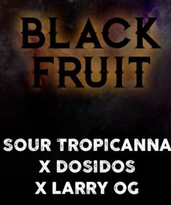 Black Fruit fem. Tramuntana Seeds
