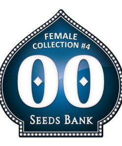 Female Collection 4 – 00 Seeds