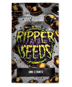 GMO x Runtz 3 u. fem. Ed. Lim. Ripper Seeds