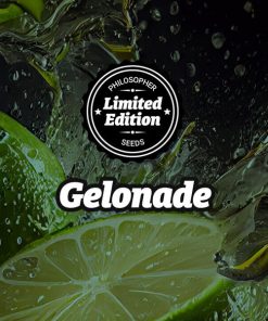 Gelonade  5 u fem Ed.Especial Philosopher