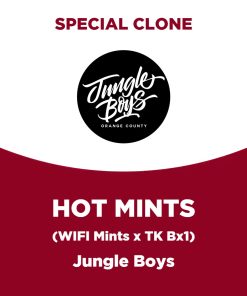 Hot Mints | Jungle Boys | Special Clone