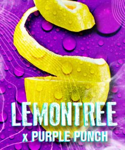 Lemon Tree fem. Tramuntana Seeds