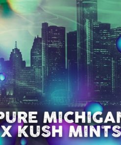 Michigan Mints  5 u. fem. Tramuntana Seeds