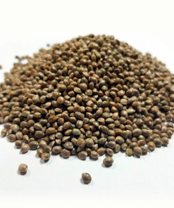 Moby Dick Granel 100 ud.