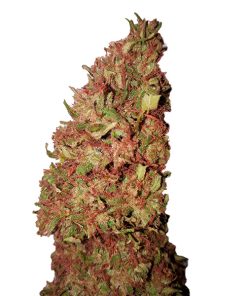 Strawberry CBD+ CBD Buds