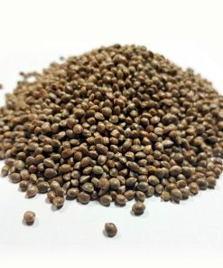 Strawberry Amnesia Granel 100 ud.