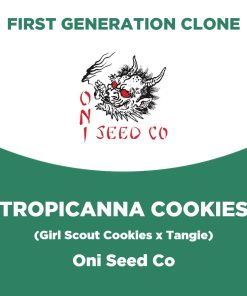 Tropicanna Cookies | Oni Seed Co | First Generation Clone
