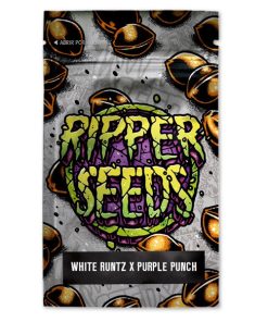 White Runtz x Purple Punch 3 u. fem. Ed. Lim. Ripper Seeds