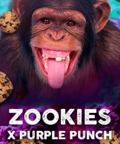 Zookies fem. Tramuntana Seeds