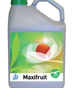 Maxifruit Lt.5 Timac