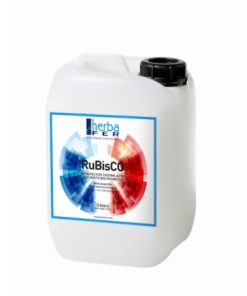 Rubisco da 5 litri N 11+ Fe-B-Cu-Zn-Mn-Mo Concime radicante
Preventivo-curativo della siccità e della salinità.